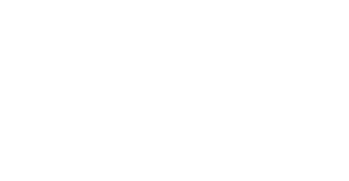 Wideweb
